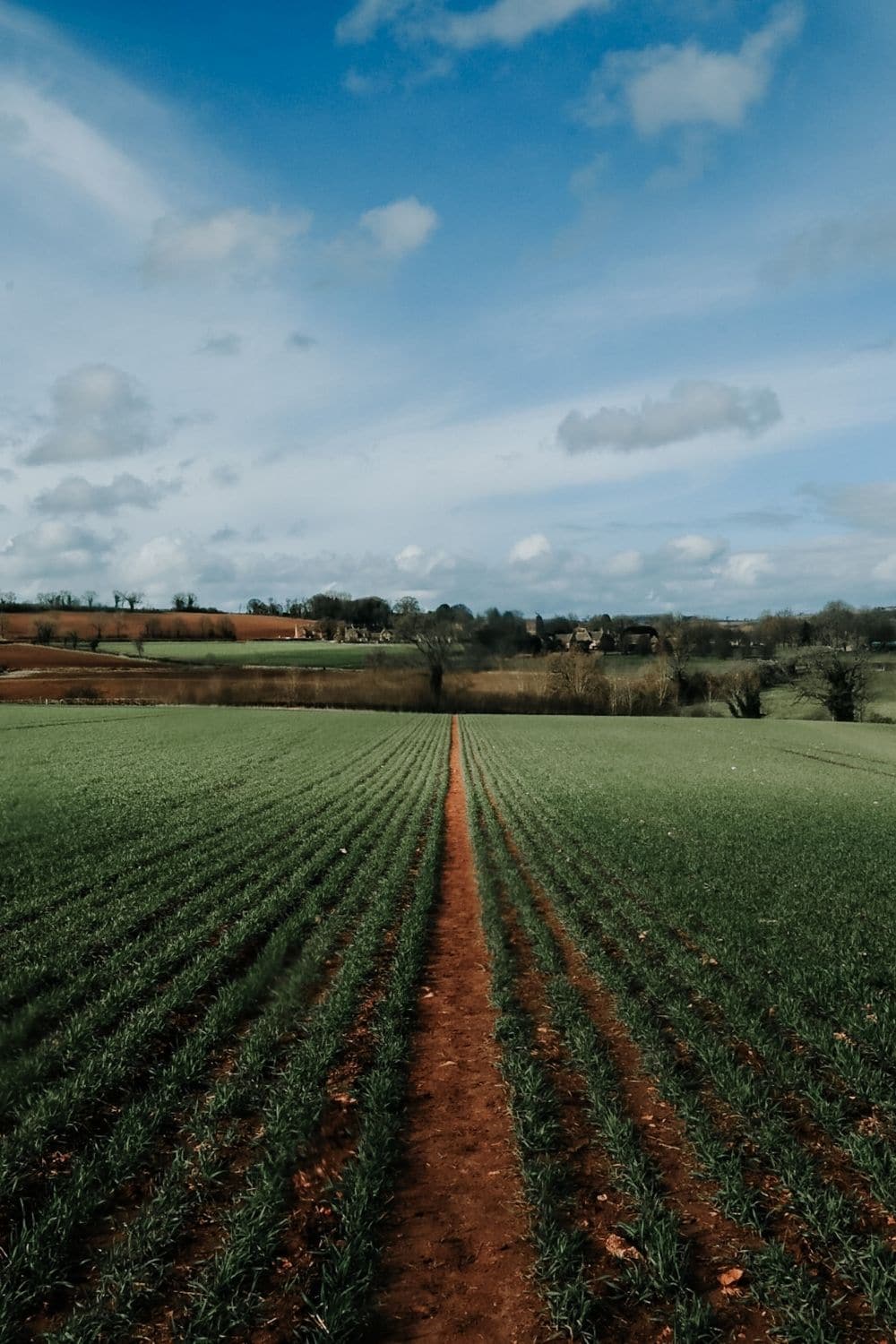 Best Cotswolds Walks 15 Phenomenal Circular Routes