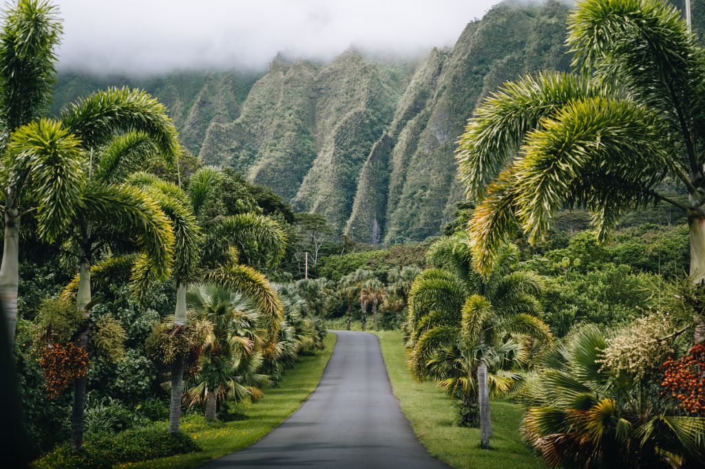 The image shows Hoʻomaluhia Botanical Garden.