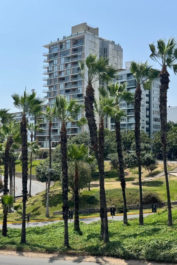 palm trees in Lima with a building in the background in Peru
