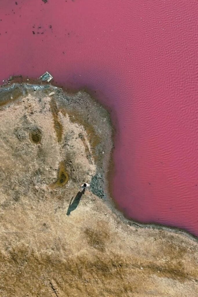Pink lake at Paracas National Reserve